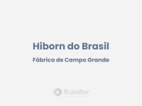 Rumifer - Clientes - Hiborn do Brasil